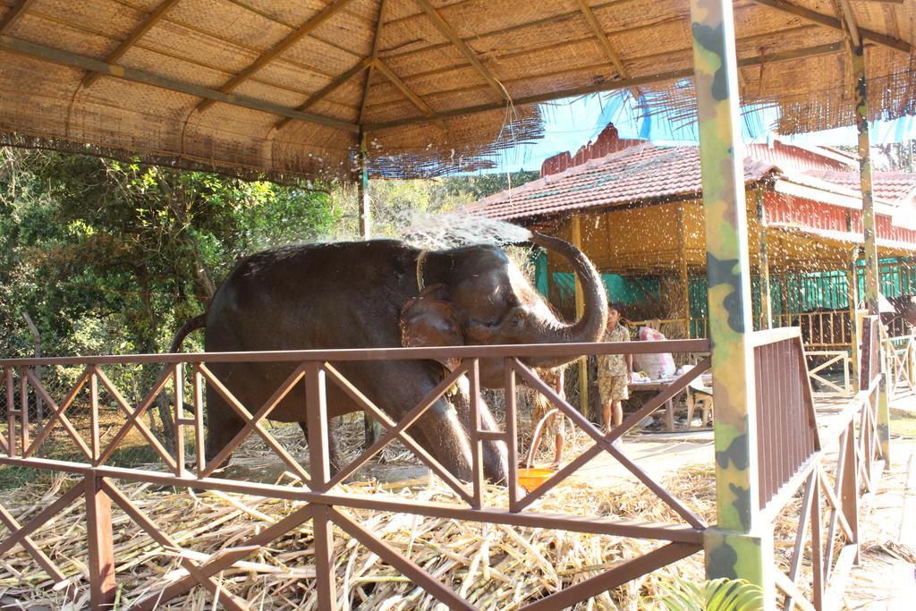 Shangri La Jungle Village Molem Esterno foto